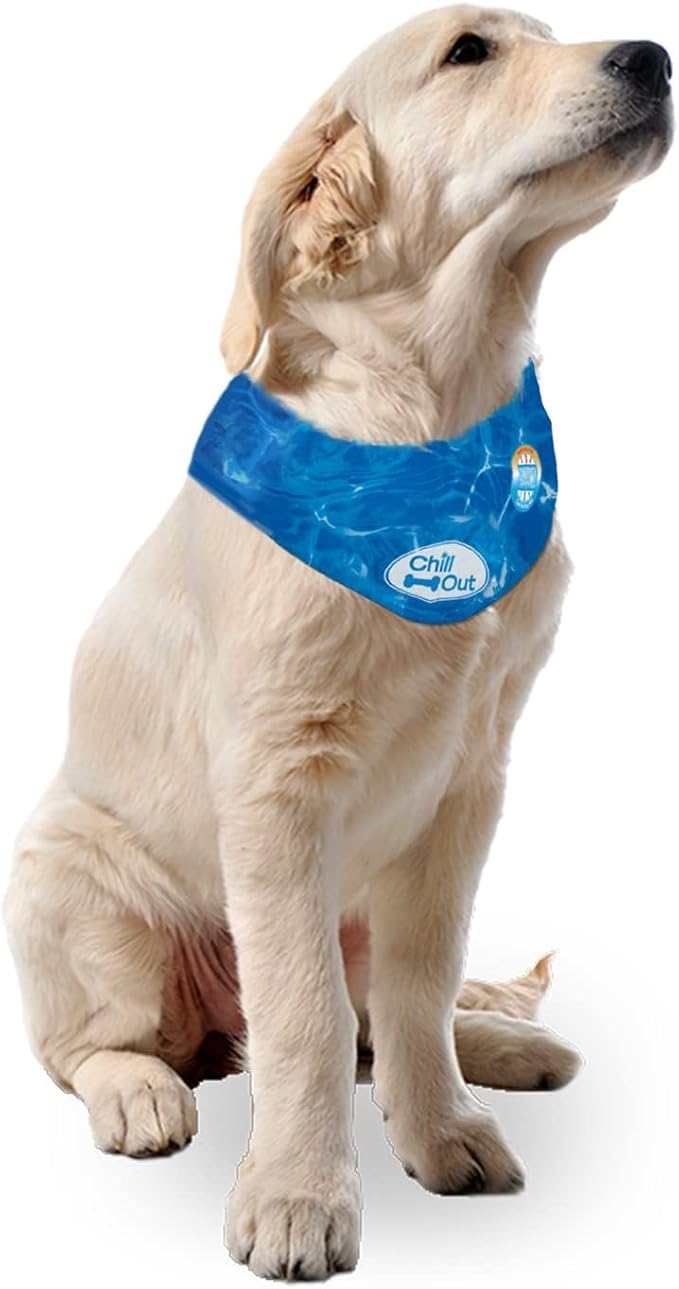 ALL FOR PAWS Dog Cooling Bandana, Cooling Bandanas for Medium Dogs, Ice Dog Bandanas, Cooling Neck Wraps for Dogs, Chill Out Blue Neck Cooler (M)