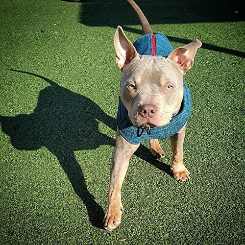 Gooby - Zip Up Fleece Vest, Fleece Jacket Sweater with Zipper Closure and Leash Ring, Turquoise Wash, 3X-Large