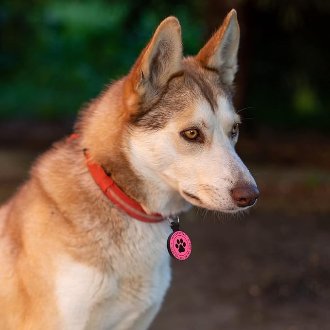 MYLUCKYTAG QR Code Silicone Pet ID Tag for Dogs and Cats - Online Profile, Location Alert Email, Digital and Quiet Tag, Durable Collar ID, Engraved