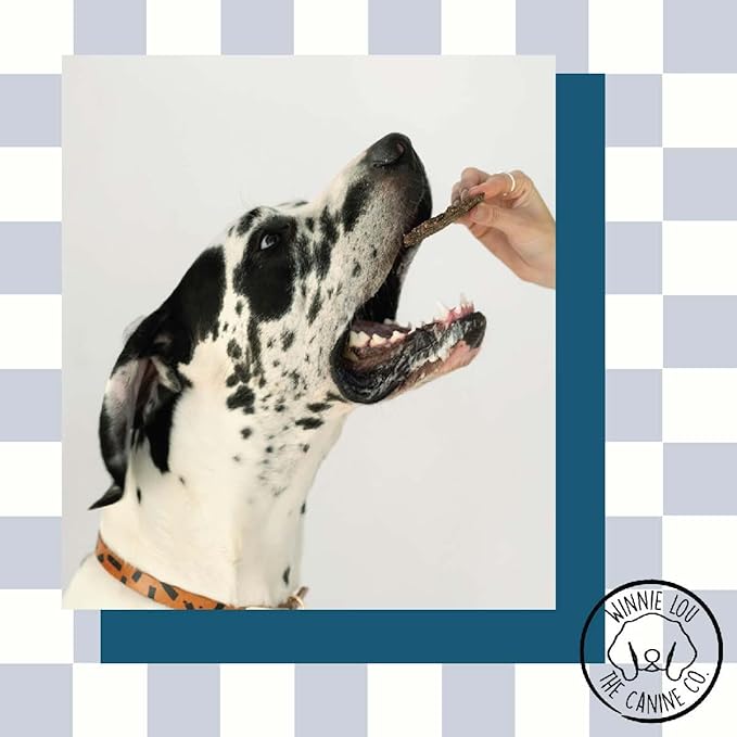 Winnie Lou Elk Jerky Dog Treats – Limited Ingredient, Human Grade, Training Treats for Small, Medium & Large Dogs, Made in USA (1 Pack)