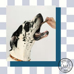 Winnie Lou Elk Jerky Dog Treats – Limited Ingredient, Human Grade, Training Treats for Small, Medium & Large Dogs, Made in USA (1 Pack)