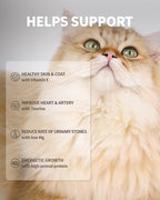 Freeze-Dried Raw Cat Food, 97% Animal Origin Dry Food for Cat, High Protein Treat & Topper (Beef Recipe - 14 Ounce)