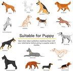 Advanced Calming Chews for Dogs, Dog Calming Chews - Anxiety Relief Treats and Bites for Dogs - Separation, Barking, Thunder, Noise, Stress, Pet Supplement, All Ages & Sizes - (Lamb 120 Ct)