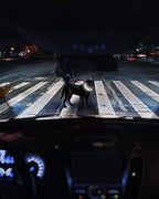 Joytale Light Up Dog Collar, Rechargeable Rainproof LED Collar for Night Walking Safety, Soft Silicone Glow in The Dark, Suitable for Small Medium Large Dogs, White