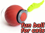 Interactive Cat Toy Ball - Motion-Activated, USB Rechargeable Cat Toys for Indoor Cats with Anti-Scratch Cover & 2 Changeable Tails - Enrichment Toy for Active Cats & Kittens