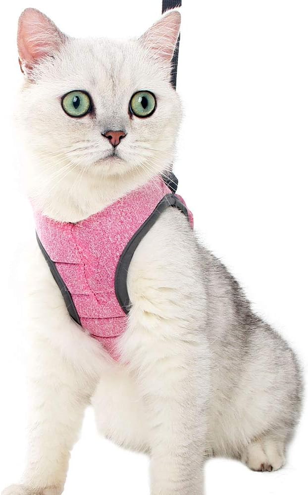HEYWEAN Cat Harness and Leash - Ultra Light Escape Proof Kitten Collar Cat Walking Jacket with Running Cushioning Soft and Comfortable Suitable for Puppies Rabbits