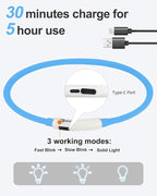 Joytale Light Up Dog Collar, Rechargeable Rainproof LED Collar for Night Walking Safety, Soft Silicone Glow in The Dark, Suitable for Small Medium Large Dogs, Blue