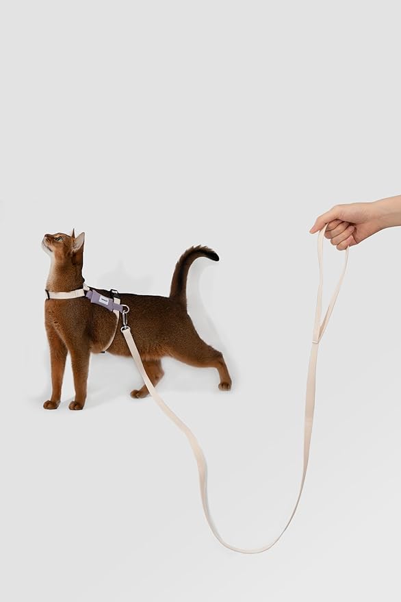 H-Shape Escape Proof Cat Harness & Leash Set - Plush Padded Back, Adjustable Neck/Chest, Lightweight, w/ 1.5cm Wide Leash for Kittens to Adult Cats (Cream and Purple)