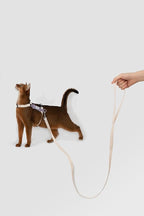 H-Shape Escape Proof Cat Harness & Leash Set - Plush Padded Back, Adjustable Neck/Chest, Lightweight, w/ 1.5cm Wide Leash for Kittens to Adult Cats (Cream and Purple)