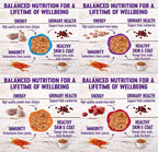 Wellness Natural Premium Canned Cat Wet Food Pate - 12 Pack Cans Variety Bundle Pack 4 Flavor - (Chicken,Beef, Salmon & Turkey) W/HS Pet Food Bowl - (5 Oz Cans)