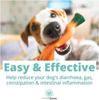 Approx 120 Servings of Dog Probiotic Powder - Probiotics and Digestive Enzymes Supplement and Dog Digestive Support - Made in The USA