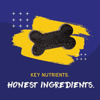 PupGrade Daily Multivitamin for Dogs - All-in-One Supplement for Digestive, Immune, Skin and Coat Health - 32 Healthy Nutrients, Probiotic Enzymes, Omega Fish Oil, Vitamins A, C, D & E - 30 Soft Chews