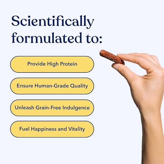 Honest Paws Dog Jerky Treats - All-Natural Jerky Dog Treats for Training Pets - Human Grade Bites - Real USA Beef