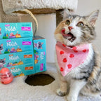 LOVE, NALA - Natural Adult Cat Wet Food - Pate Variety Pack - Tuna, Chicken, Mackerel - Grain Free, Non-GMO, Fiber Blend, Minerals, Vitamins - 12 Pack 2.1 lbs.