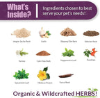 Amber NaturalZ Adizone C Herbal Supplement for Cats | Supports Healthy Inflammatory Response, Occasional Discomfort, and Normal Joint Function | Natural Aid for Active and Aging Felines