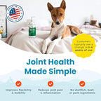 Plant-Based Liquid Glucosamine for Dogs, 1600mg Joint Support with Chondroitin, MSM & Omega 3-6-9, Shellfish-Free Dog Arthritis Supplement for Mobility & Flexibility, Made in USA, 16 oz