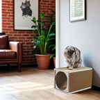 Cat Scratcher Tunnel, Cardboard cat House, Scratching Post for Indoor Cats, 360 Degree Comfort, Durable Design, Odor-Free, Easy Assembly, Perfect for Playful Kittens and Adult Cats, White