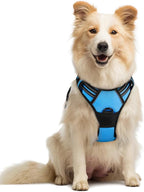 rabbitgoo Dog Harness No Pull with 2 Leash Clips, Adjustable Soft Padded, Reflective Oxford No Choke Pet Vest with Easy Control Handle for Medium Sized Dogs, Blue, M