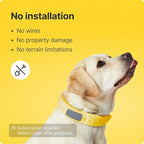 Halo Collar 3, Multifunctional GPS Wireless Dog Fence & Dog Training Collar with GPS Tracker, Subscription Required, Waterproof, Sunburst (Medium/Large)