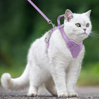 Cat Harness and Leash Set Escape Proof for Kitten Walking, Soft Adjustable Top Handle Vest Harnesses for Cats, Easy Control Breathable Reflective Small Medium Large, Violet Purple, XS