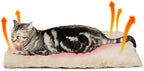 Self Warming Cat Mat Self Heating Cat Bed 24" x 18" Thermal Cat Mat Extra Warm Dog Bed Cat Beds for Indoor and Outdoor Cats Pet Heating Pad for Kittens Small Puppy Pets with Washable Removable Cover
