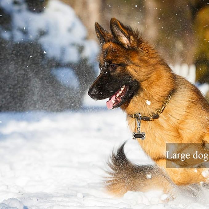 IVIA Dog Tag Clips / 2 Pack/Multiple Size 304 Stainless Steel Quick Clip with Rings/Easy Change Dog Cat ID Tag Holder for Small pet Collars and Harnesses.(2 Large Silver)