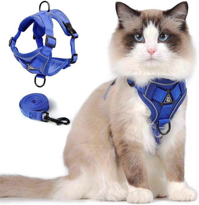 Cat Harness and Leash Set, Upgraded Escape Proof Adjustable Vest with Lead for Kitten Puppy Outdoor Walking, Soft Breathable Mesh Jacket with Reflective Strips for Dark Night (M, Klein Blue)