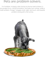 Pet Parents Forager Slow Feeder Bowls with SoftSnout & Non-Slip Backing, Dog Puzzle Toys & Snuffle Mat (Meadow Natural)