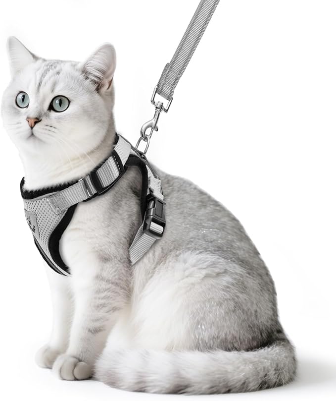 PUPTECK Cat Harness and Leash Set Escape Proof Reflective Cat Walking Harness Adjustable Soft Breathable Mesh Vest for Small Pets, Grey, S