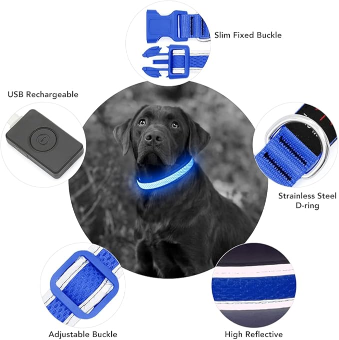 YFbrite Light up Dog Collar, USB Rechargeable LED Puppy Collar Super Bright Adjustable Glowing Dog Lights for Night Walking (Blue, Large)
