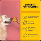 Multivitamin for Dogs & Cats | Vitamins C, K2, B, D, A, Omega, Calcium & Zinc for Growth & Development, Heart, Liver & Joint Health, Performance & Immunity (30 Oral Dissolving Strips)