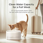 Petcube Pet Water Fountain | Automatic Wireless Water Fountain for Cats and Dogs with Ceramic Bowl, Easy to Clean, 4-Layer Filtration, in-App Filter Control, LED Light, Quiet Pump, Battery Operated