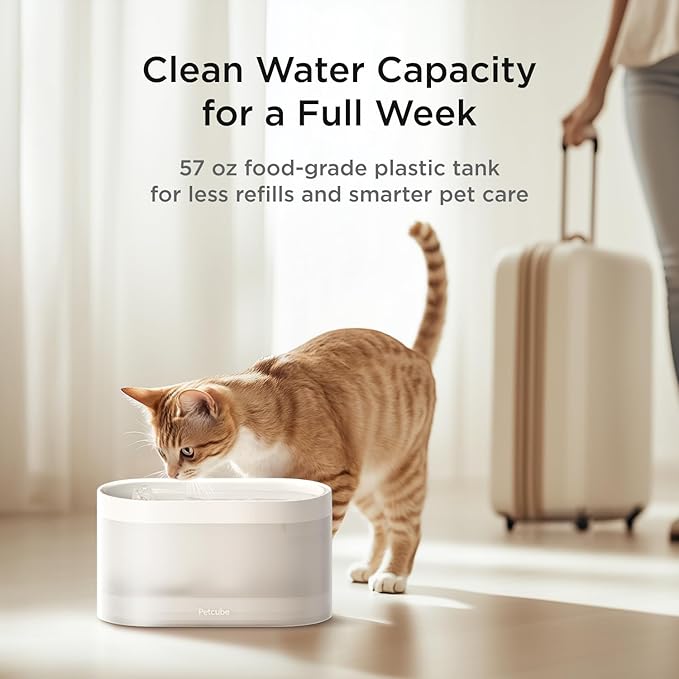 Petcube Pet Water Fountain | Automatic Wireless Water Fountain for Cats and Dogs with Ceramic Bowl, Easy to Clean, 4-Layer Filtration, in-App Filter Control, LED Light, Quiet Pump, Battery Operated