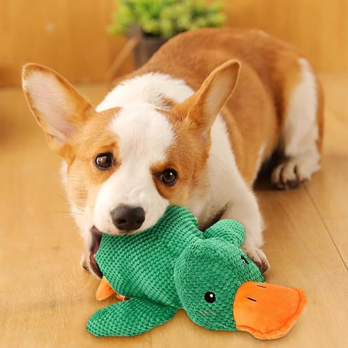 Quack-Quack Duck Dog Toy,Durable Plush Chew Toy with Sounds,Stuffed Plush Calming Duck Dog Toy for Indoor Puppies and Senior Pups (Green, Small)