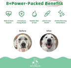 Premium Multivitamin Chewable for Dog - Dogs Vitamins Supplements with Glucosamine HCL Omega-3 Antioxidants Support Digestion Joint Health Immune Function Skin & Coat, Beef Flavor 100 Soft Treats