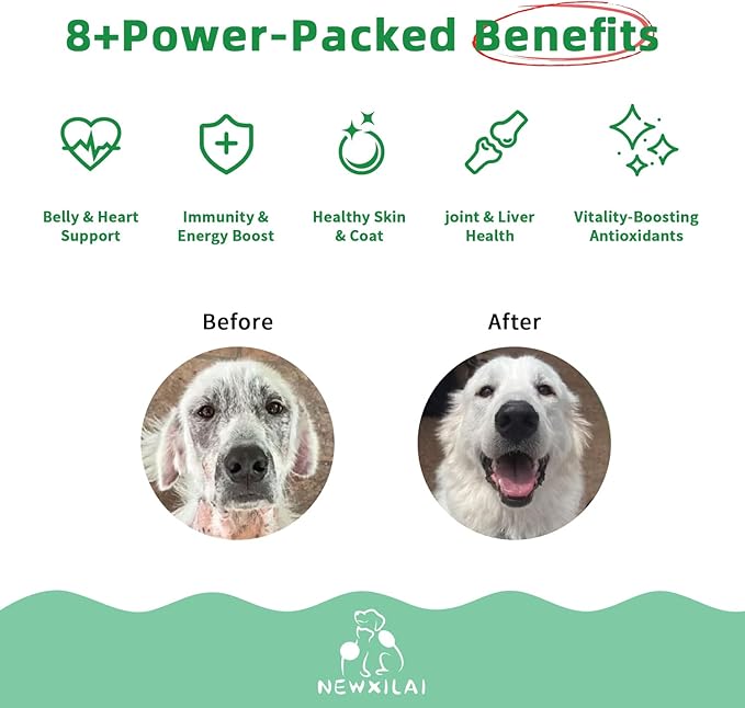 Premium Multivitamin Chewable for Dog - Dogs Vitamins Supplements with Glucosamine HCL Omega-3 Antioxidants Support Digestion Joint Health Immune Function Skin & Coat, Beef Flavor 100 Soft Treats