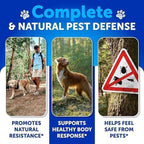 Flea and Tick Prevention for Dogs Chewables - Made in USA - Natural Flea and Tick Supplement for Dogs - 240 Immune Support Chews (2 Pack) - Vitamins B1, B6, B12 - All Breeds and Ages