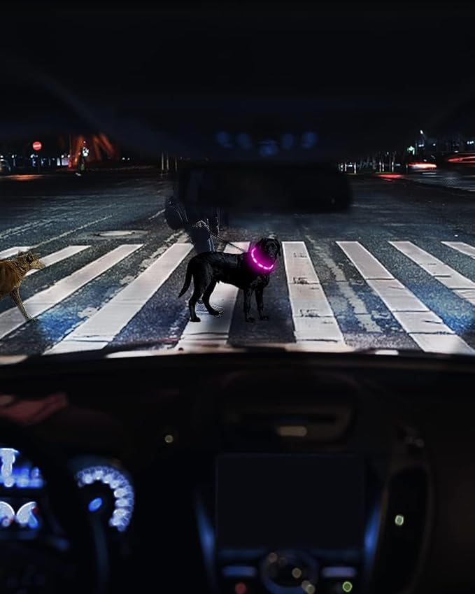 Joytale Light Up Dog Collar, Rechargeable Rainproof LED Collar for Night Walking Safety, Soft Silicone Glow in The Dark, Suitable for Small Medium Large Dogs, Purple