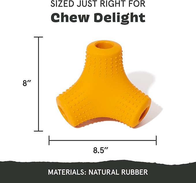 Barkbox Coral Teef Dog Toy | Wacky Bounce | Dog Toy for Aggressive Chewers