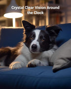 BoyKeep 2K Pet Camera, Indoor Security Camera, 5G/2.4GHz WiFi Cameras for Baby Dog with Phone App, 360° Pan & Tilt, 2-Way Audio, Color Night Vision, New Version w/Cloud Storage (White-2 Pack)