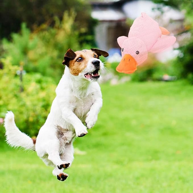 Quack-Quack Duck Dog Toy,Durable Plush Chew Toy with Sounds,Stuffed Plush Calming Duck Dog Toy for Indoor Puppies and Senior Pups (Yellow+Pink, Large)