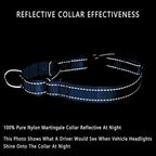 PLUTUS PET Reflective Martingale Collar with Quick Snap Buckle,No Pull Dog Collar for Small Medium Large Dogs,M,Blue