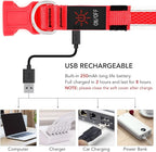 YFbrite Light up Dog Collar, USB Rechargeable LED Puppy Collar Super Bright Adjustable Glowing Dog Lights for Night Walking (Red, Medium)