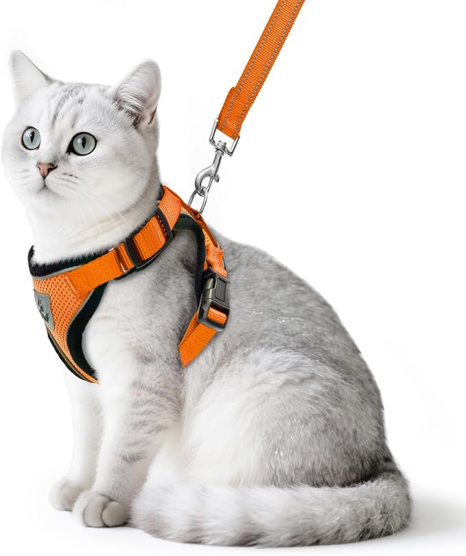 PUPTECK Cat Harness and Leash Set Escape Proof Reflective Cat Walking Harness Adjustable Soft Breathable Mesh Vest for Small Pets, Orange, S