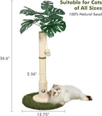Cat Scratching Posts Cat Trees 35.43" Tall with Sisal Rope Cat Toy and Hanging Ball for Indoor,Wooden Palm Tree Cat Scratch Pole for All Cat（White