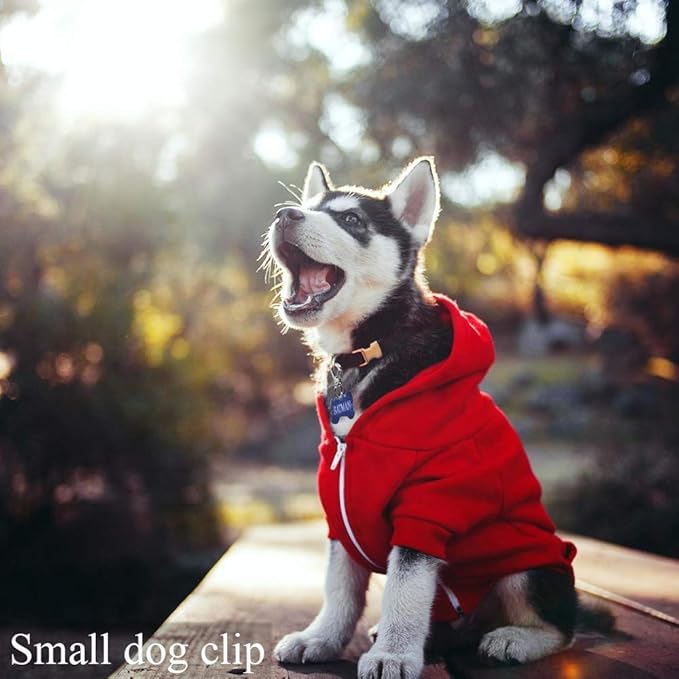 IVIA Dog Tag Clips/Multiple Size 304 Stainless Steel Quick Clip with Rings/Easy Change Pet ID Tag Holder for Small/Medium/Large Dog Cat Collars and Harnesses.(3 Pack)