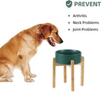 Ceramic Raised Dog Bowl Set, Elevated Dog Bowl with Stand, Food and Water Bowl for Large Breed Dogs, Weighted Dog Dishes, Pet Bowl(8.2'',60OZ, Green)