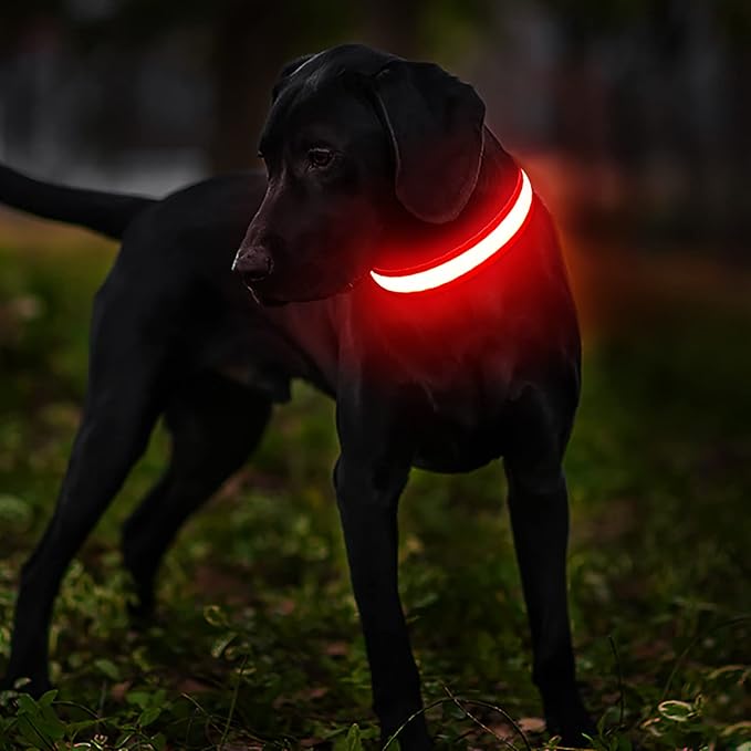 MASBRILL Light Up Dog Collars-LED Dog Collar Rechargeable Waterproof Lighted Dog Collar Night Walking Glow Collar for Small Medium Large Dogs