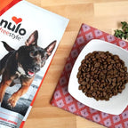 Nulo FreeStyle Limited Ingredient Dog Food, High-Protein Turkey Recipe, Grain-Free Natural Dry Dog Food for Adult Dogs & Puppies with Food Sensitivities, Single Animal Protein, 24 lb Bag