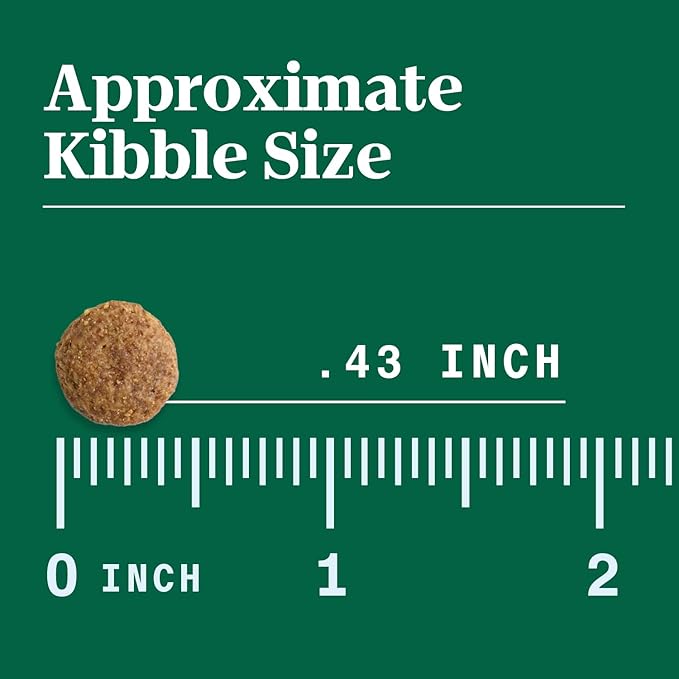 Nutro Limited Ingredient Diet Adult Dry Dog Food, Salmon & Lentils Recipe, 4 lbs.